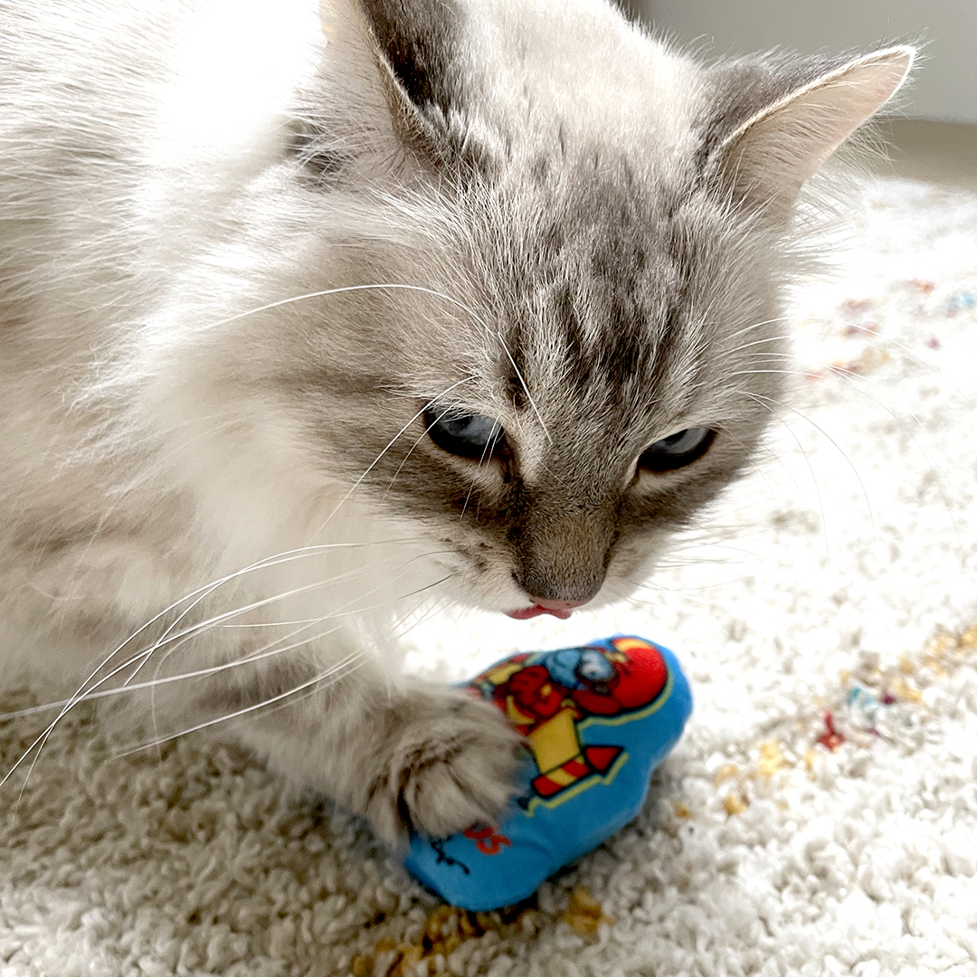   Le Jetpack (catnip) -DUVOPLUS- Les schtroumpfs