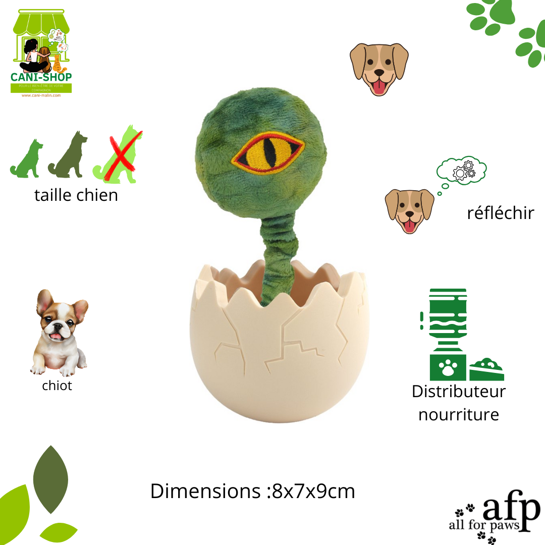 Mon T-rex - Awake Dino AFP