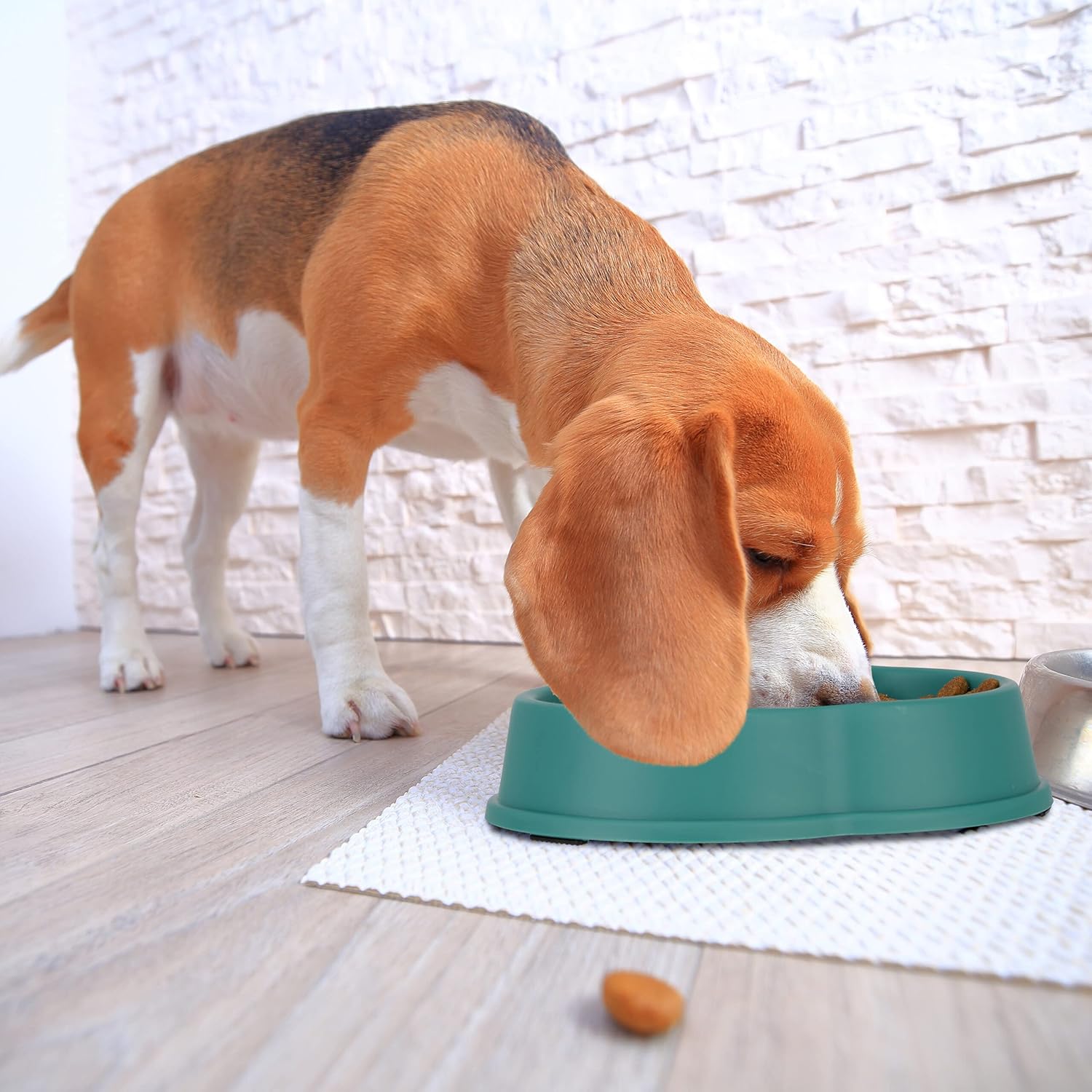 Gamelle anti-glouton MASCOW