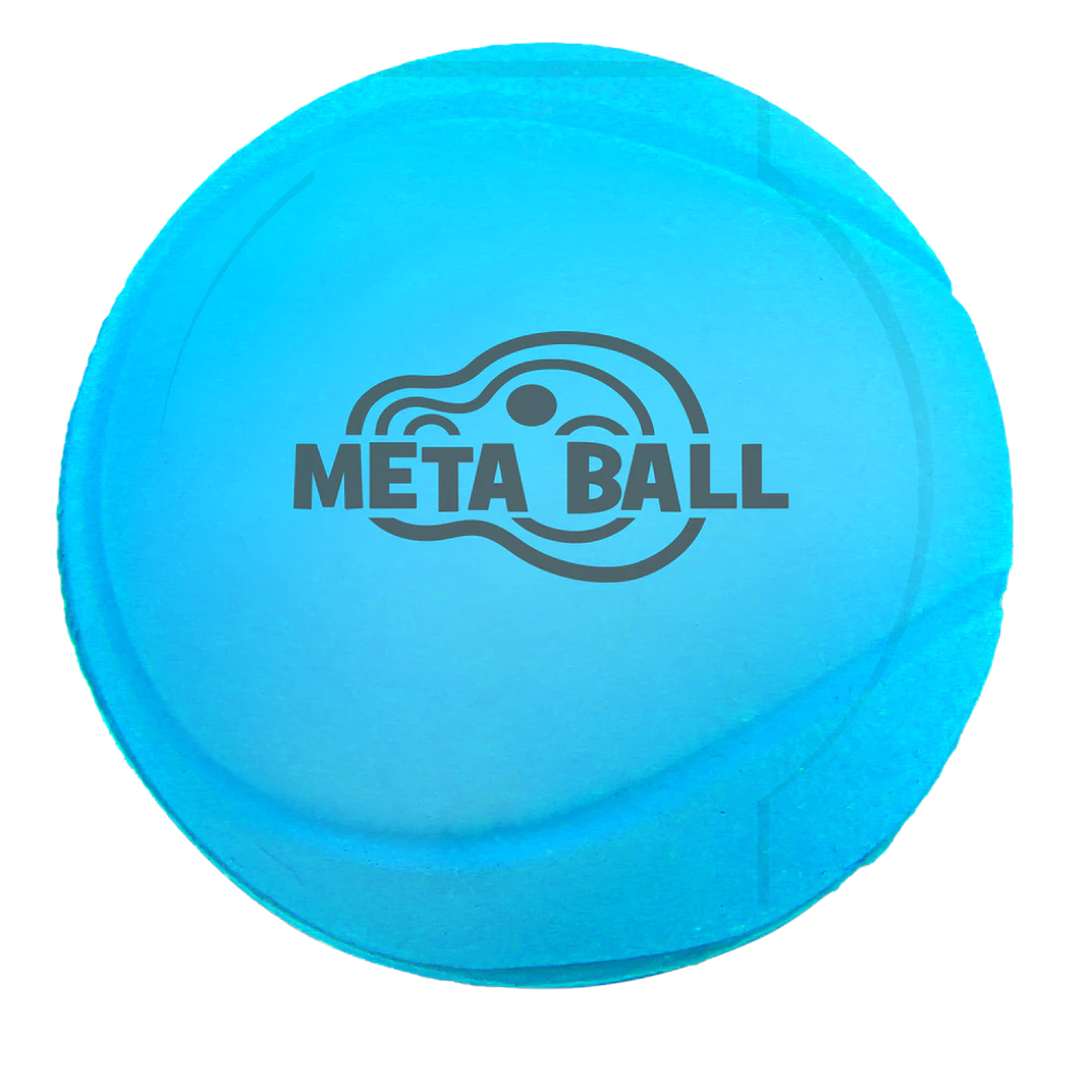 Meta Ball - Balle rebondissante et hochet