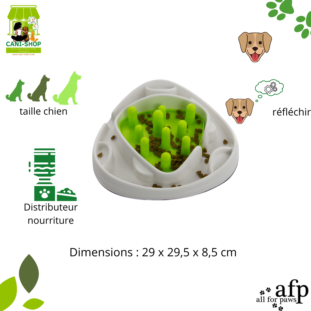 Labyrinthe Alimentaire Interactif AFP