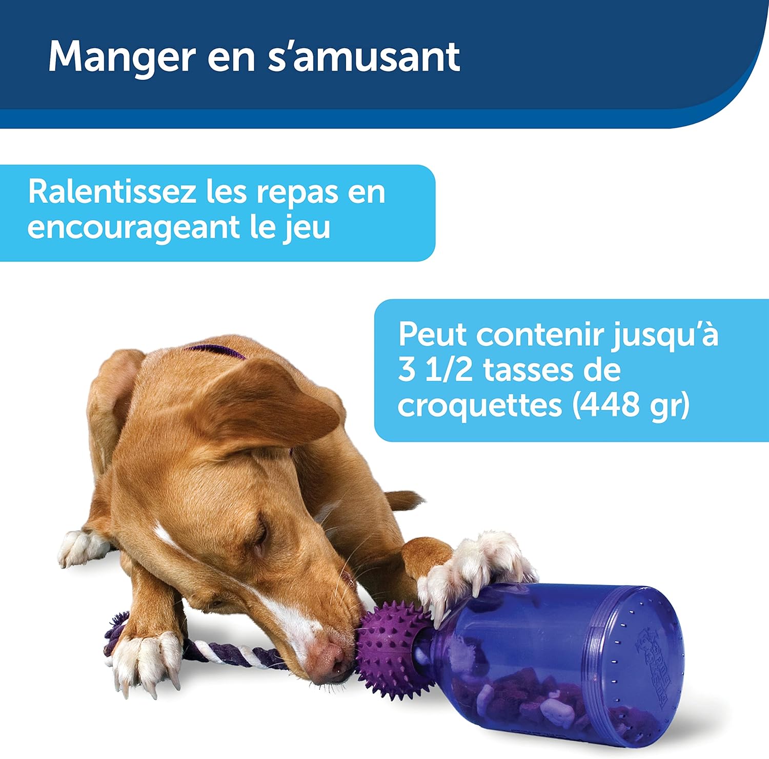 Jouet interactif pour chien