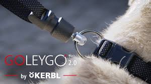 Laisse magnétique GOLEYGO 2.0