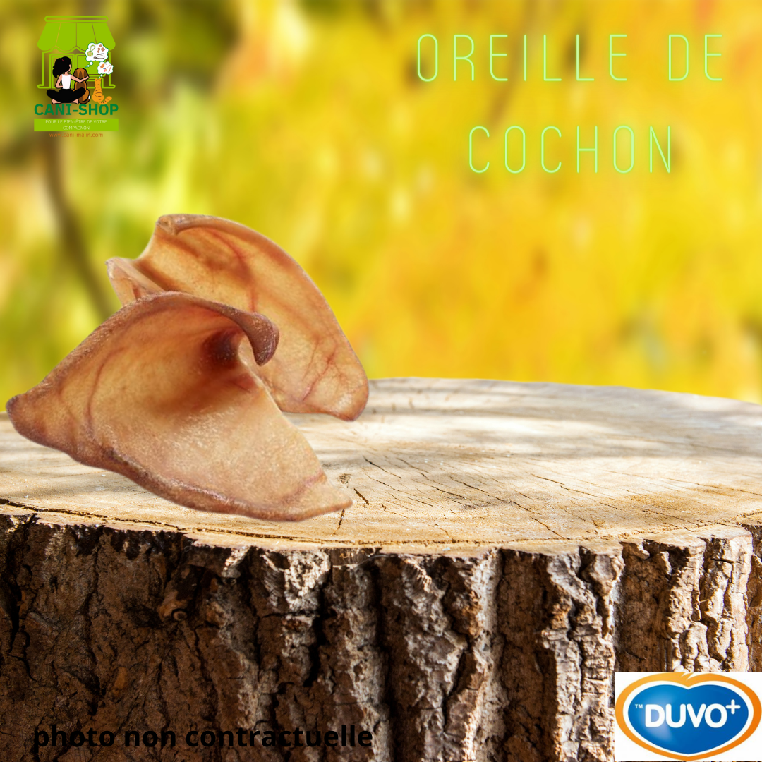 Oreille de cochon X3