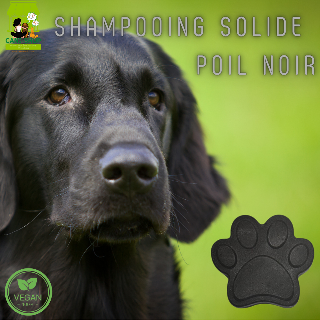 SHAMPOOING SOLIDE POILS NOIRS  NAIOMY