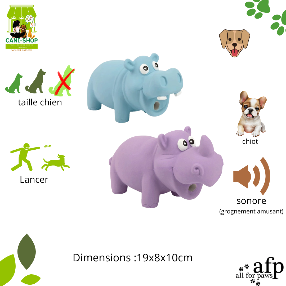 Hector l'hippopotame /Reginald le rhinocéros