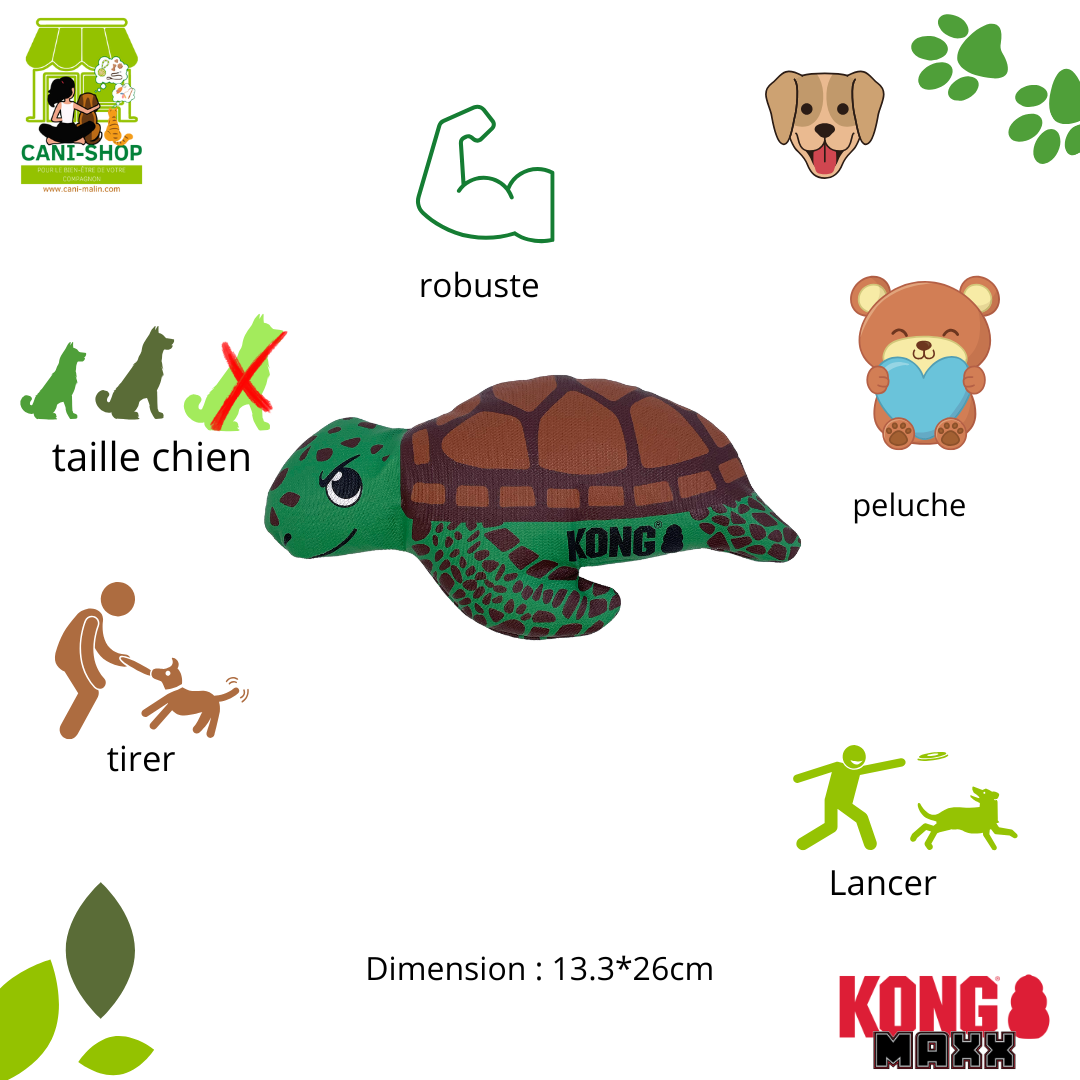Tortue Maxx KONG