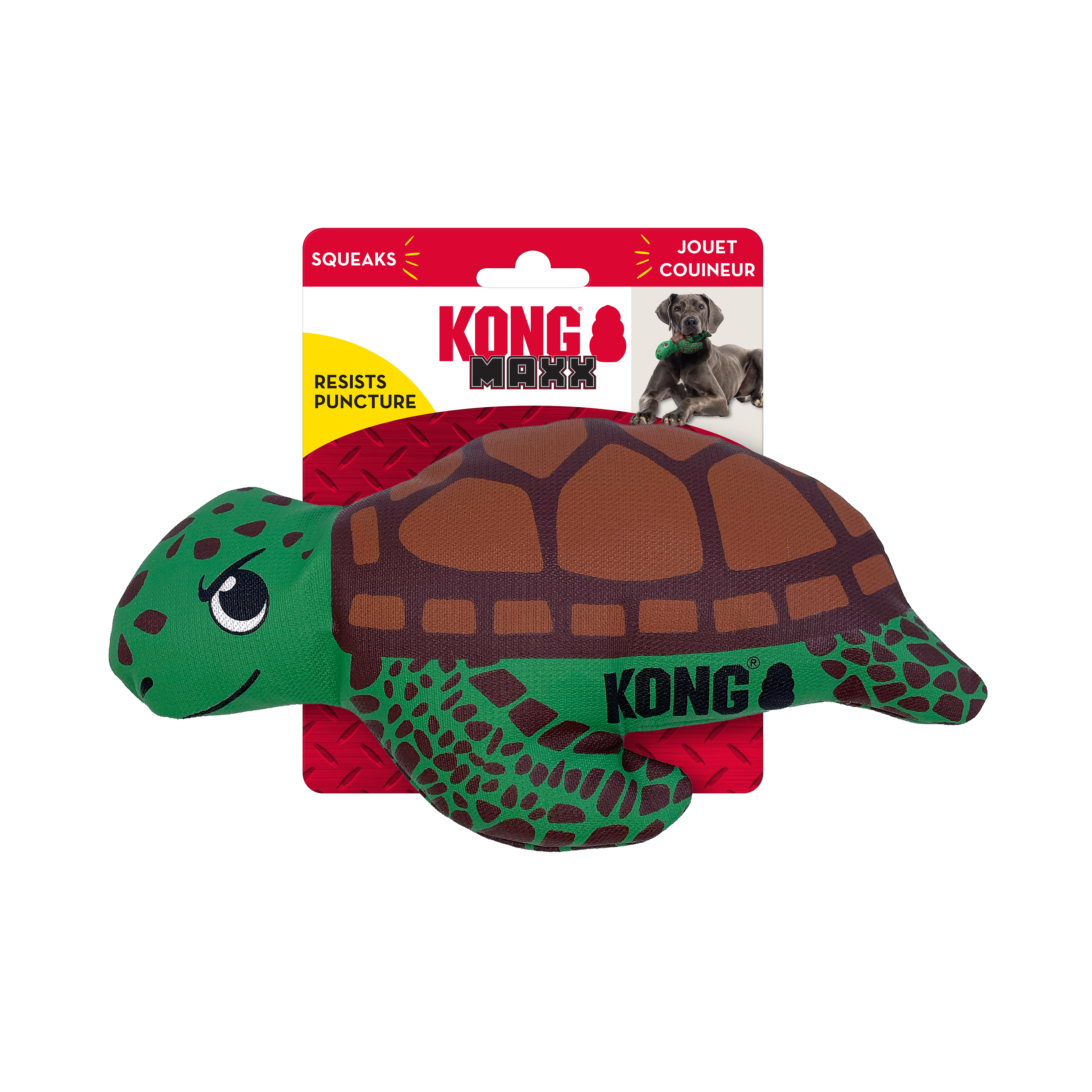 Tortue Maxx KONG