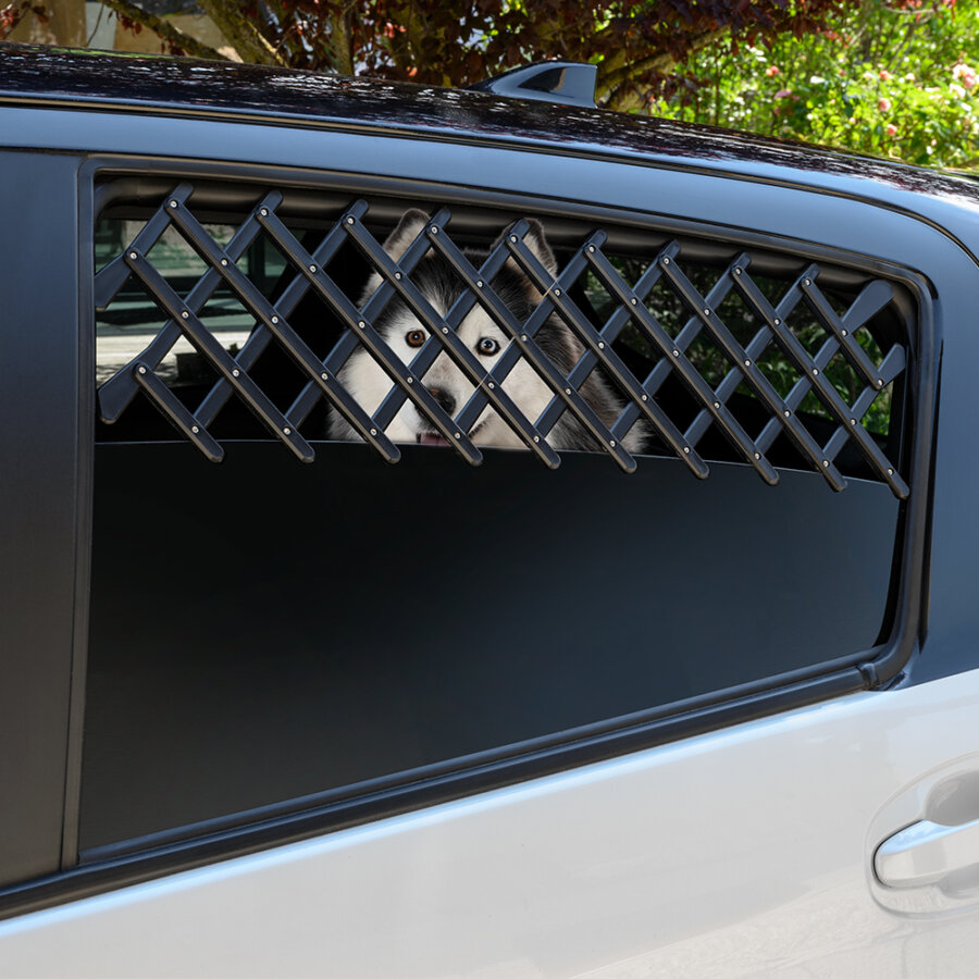 grille aération voiture