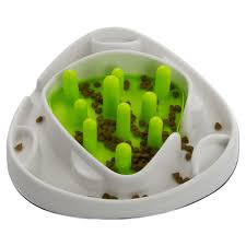 Labyrinthe Alimentaire Interactif AFP