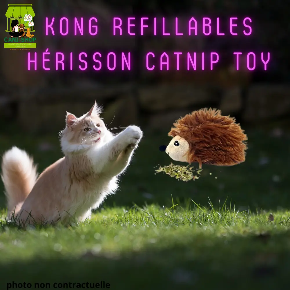 REFILLABLESHERISSON CATNIP KONG