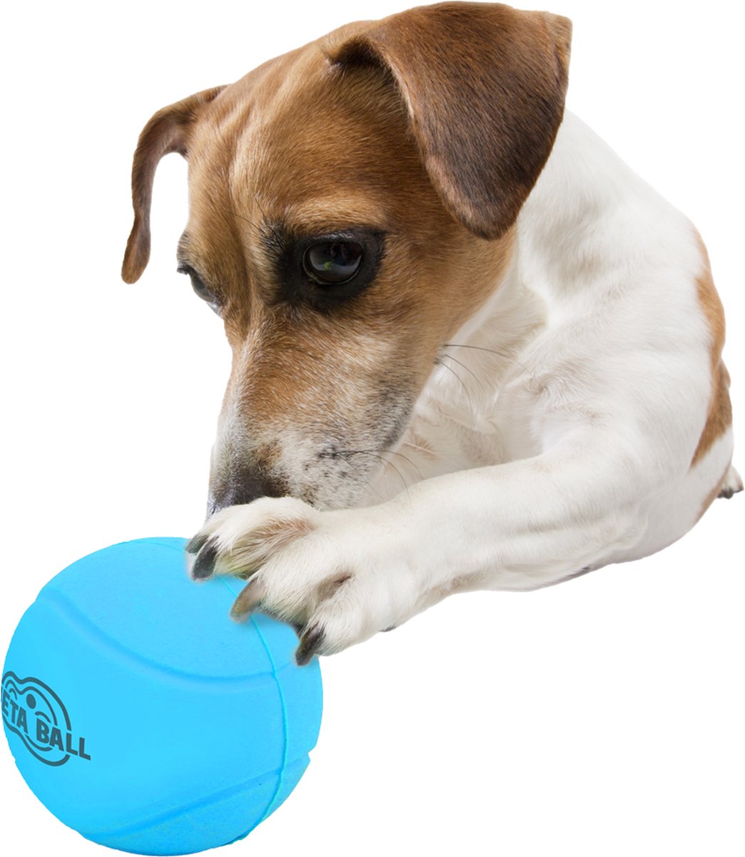 Meta Ball - Balle rebondissante et hochet