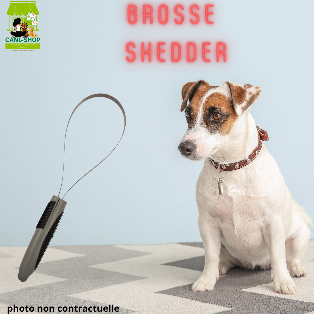 Brosse SHEDDER