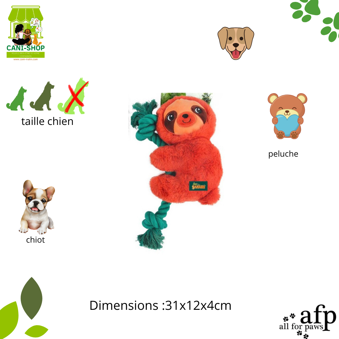 Safari - Paresseux en corde AFP