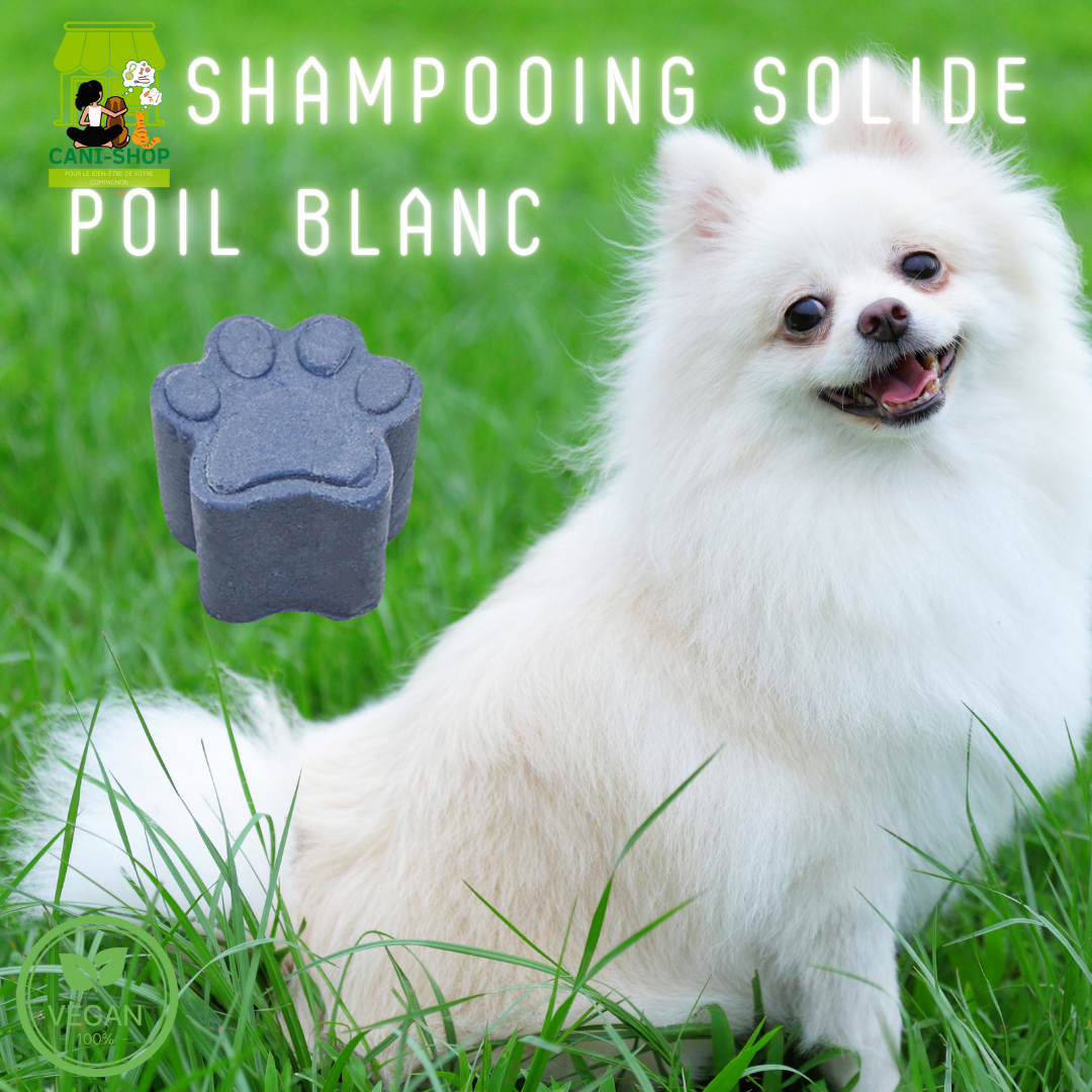  - SHAMPOOING SOLIDE POILS BLANC  NAIOMY