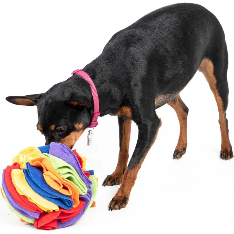 Balle de fouille à renifler 