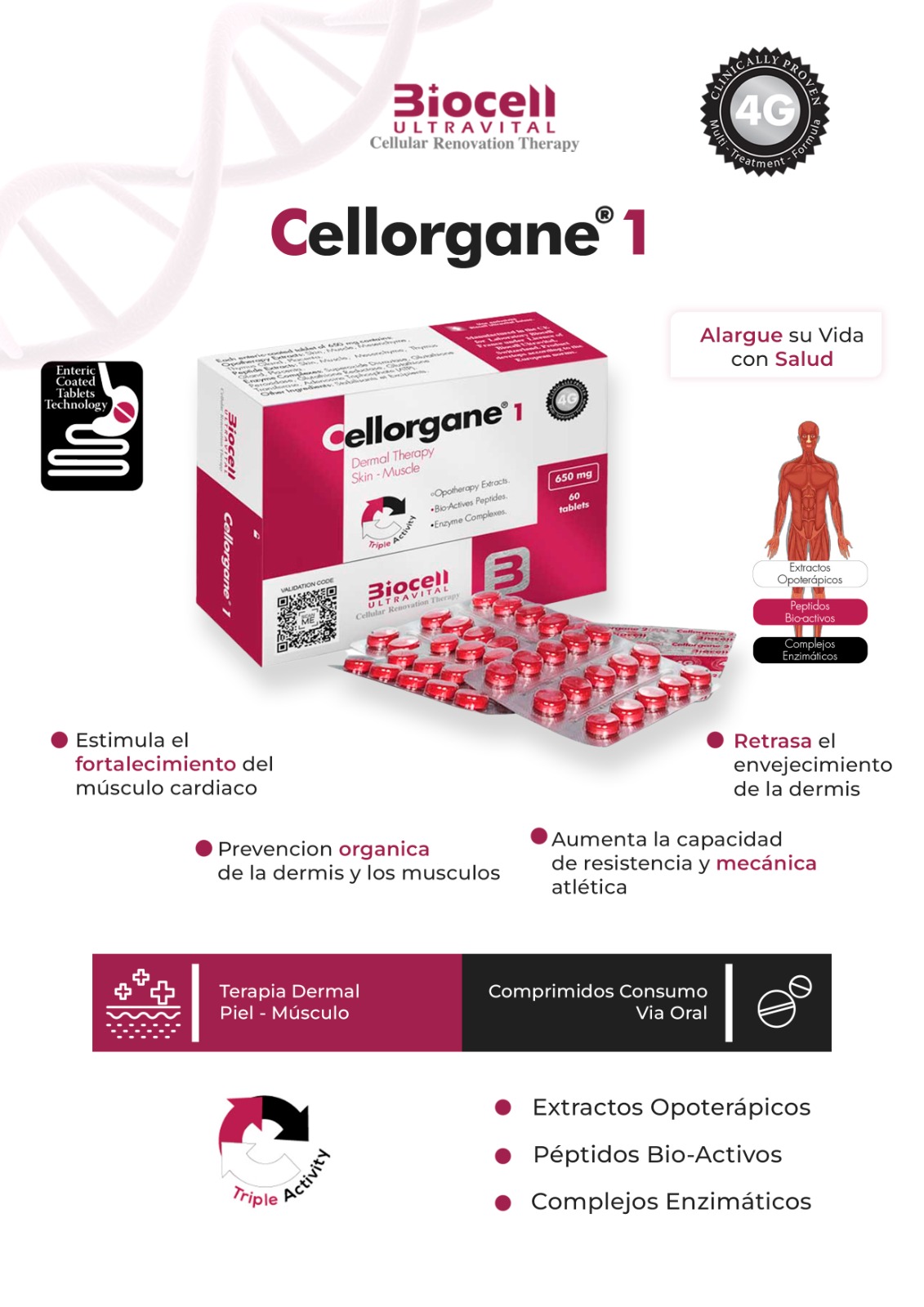 CELLORGANE 1