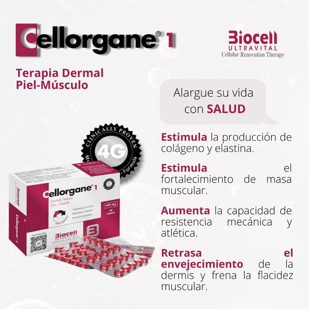 CELLORGANE 1