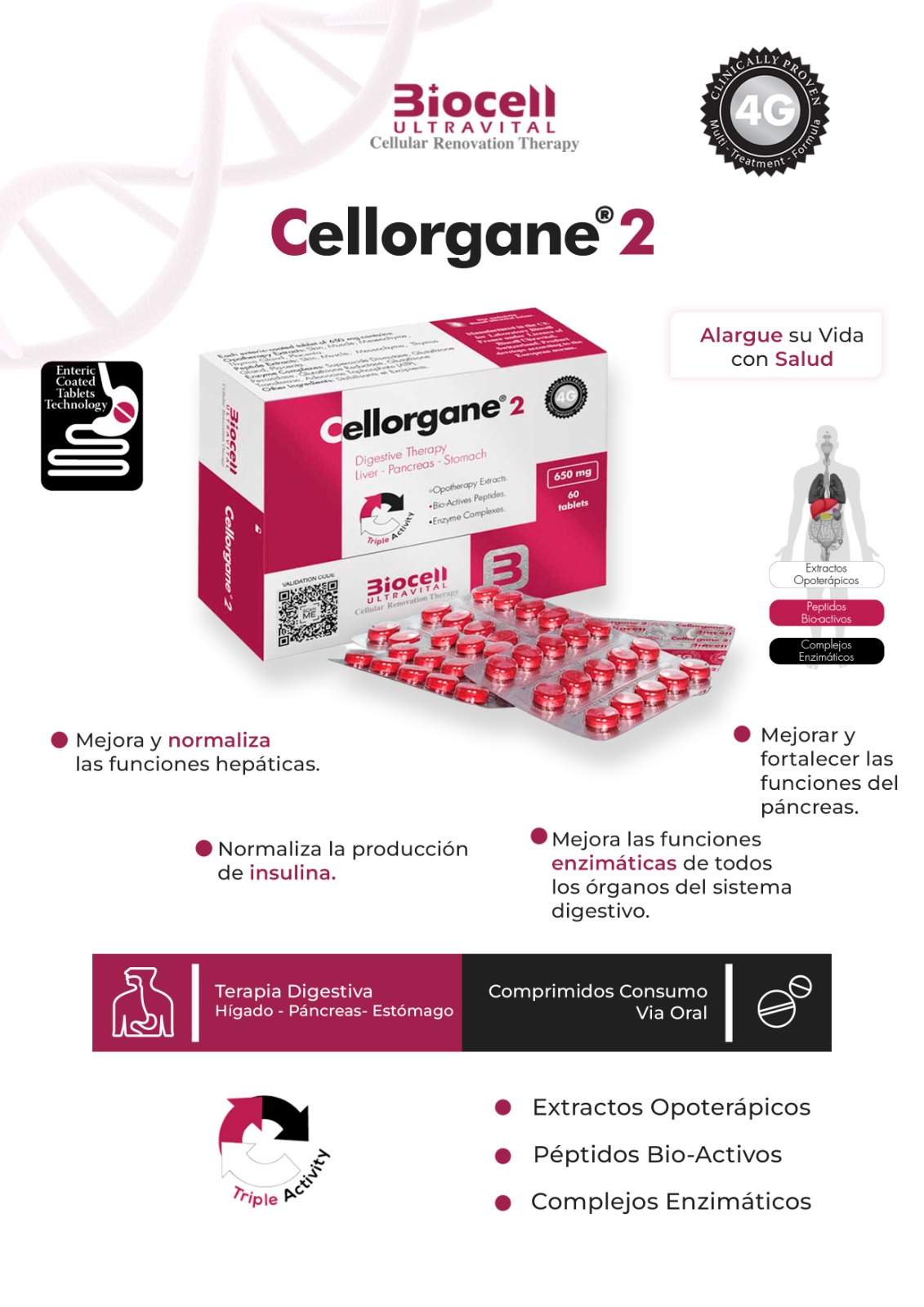 CELLORGANE 2