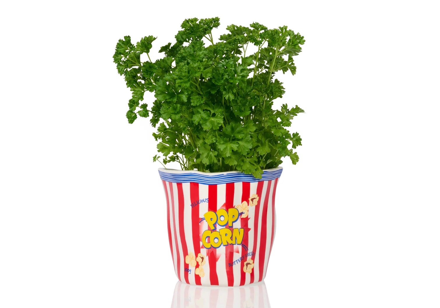Vase popcorn