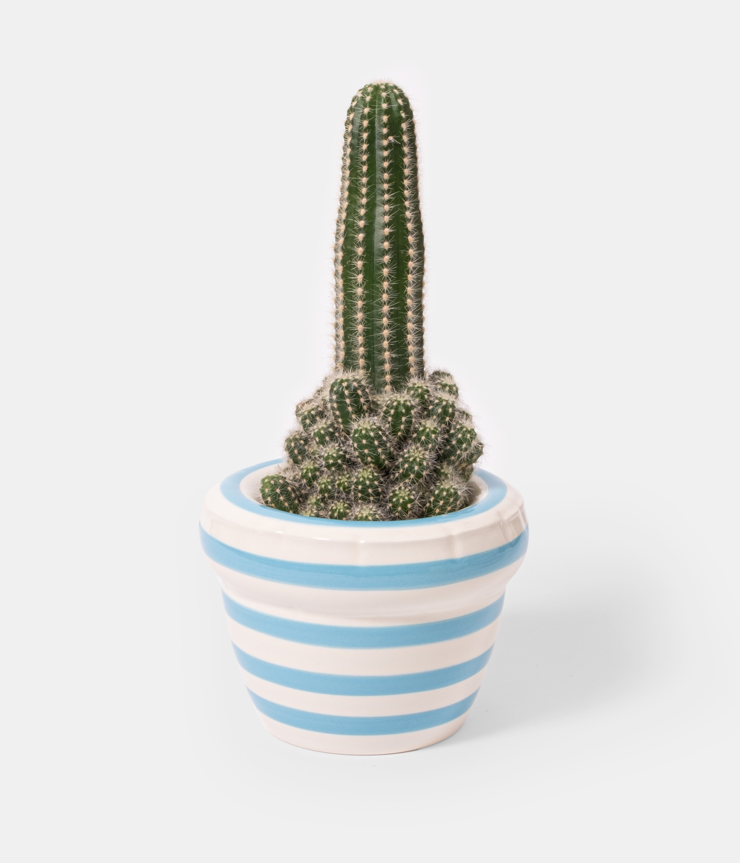 Louis – Blow Up Collection, Stripes Edition