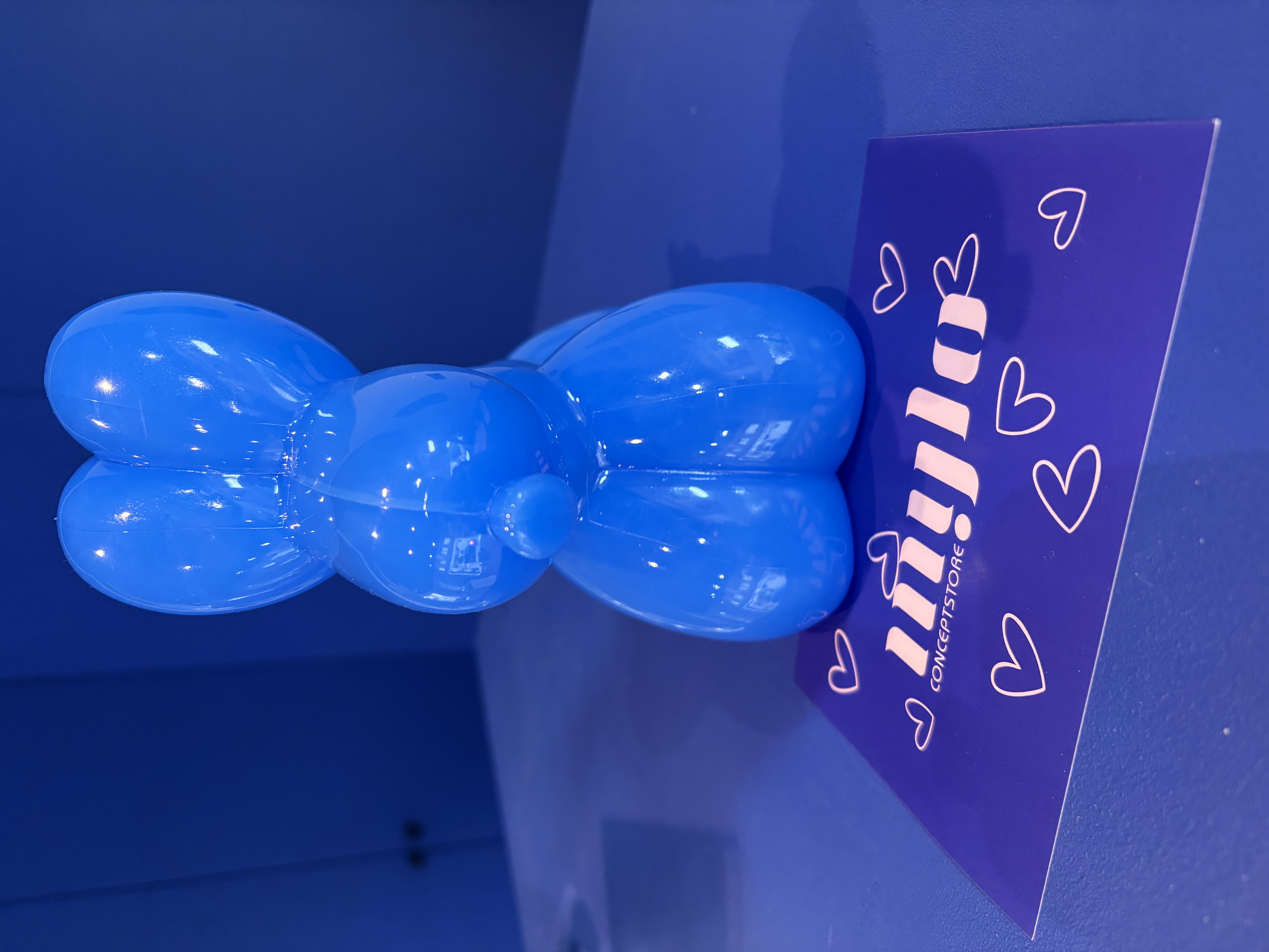 Lampe en forme de ballon chien 