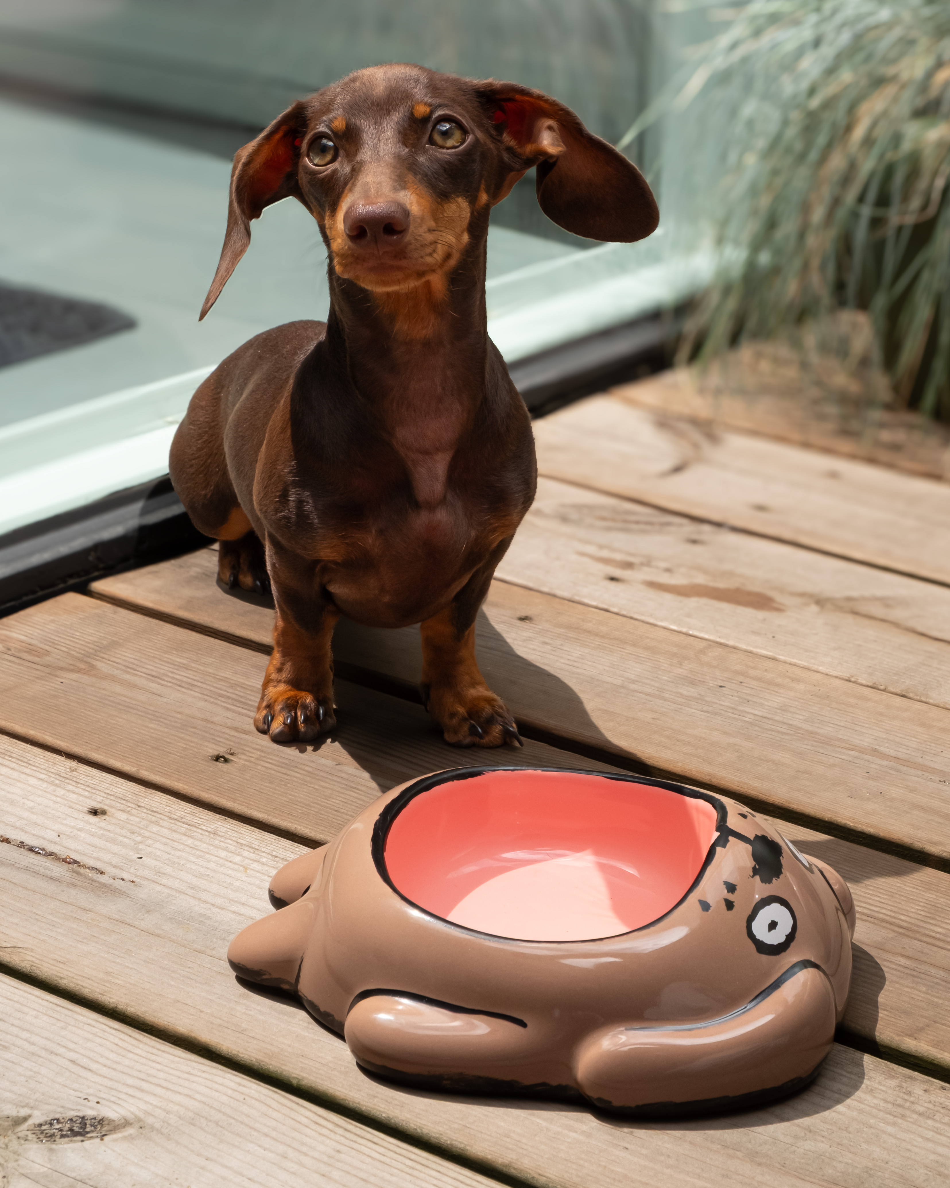 Gamelle pour chien x Jean Jullien