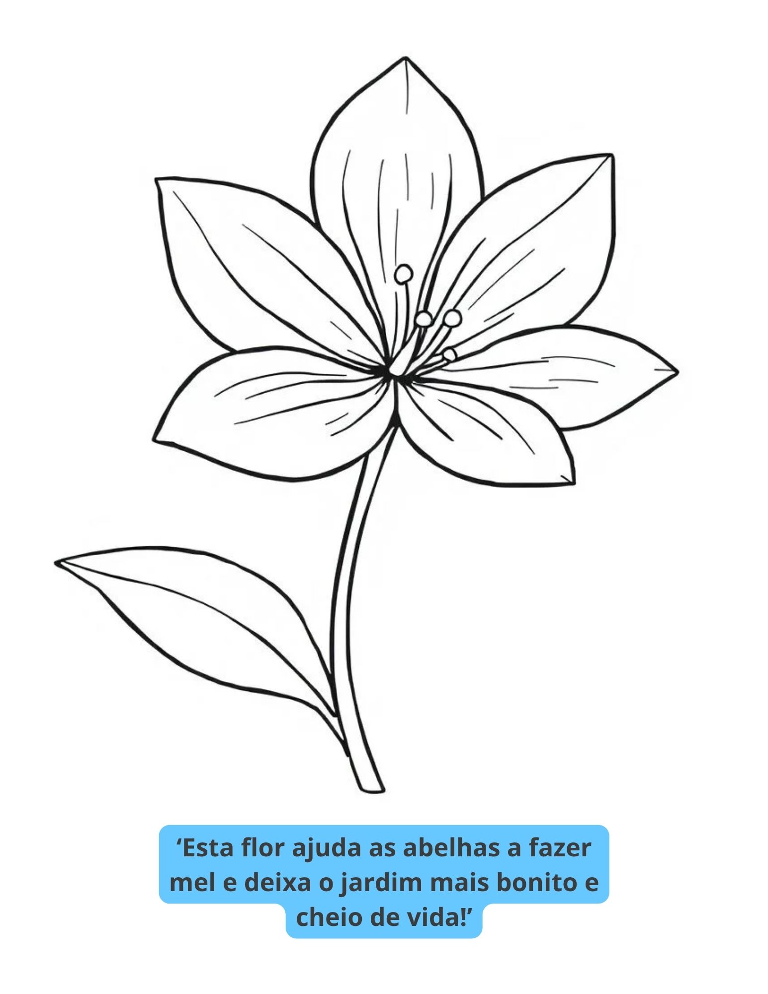 Descobrindo a Natureza