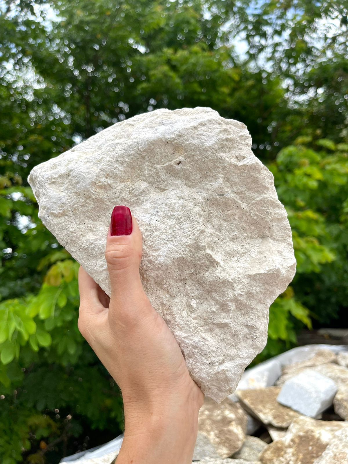 Pedra Moledo Calcária 