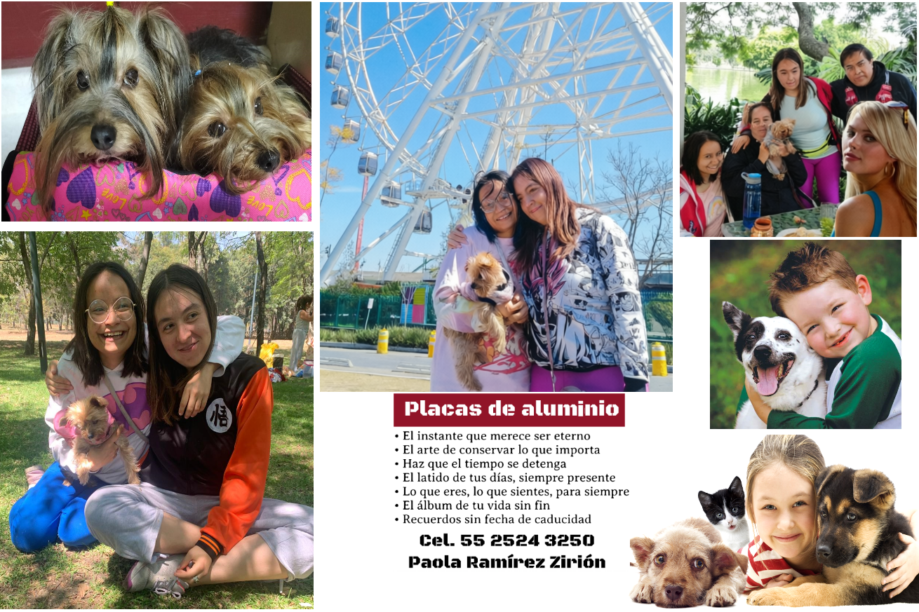 Placas de aluminio para mascotas