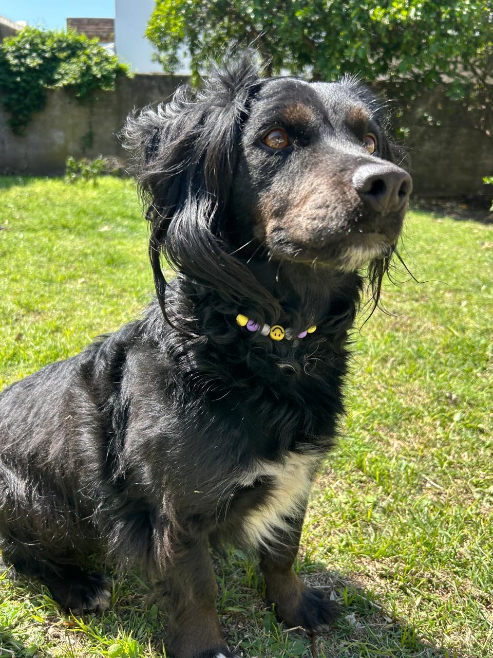 Baño Completo Tamaño Mediano