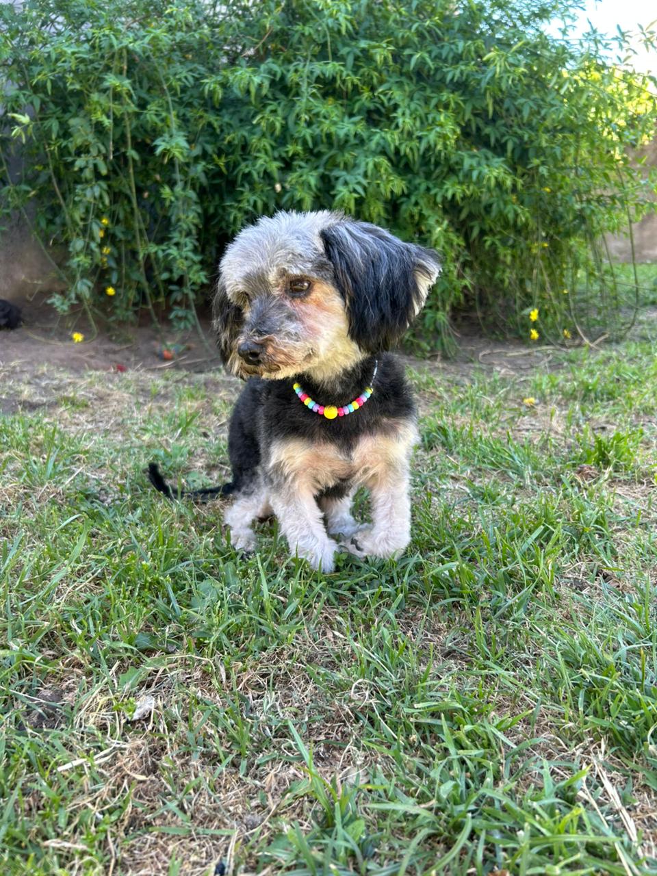 Baño Completo Tamaño Chico