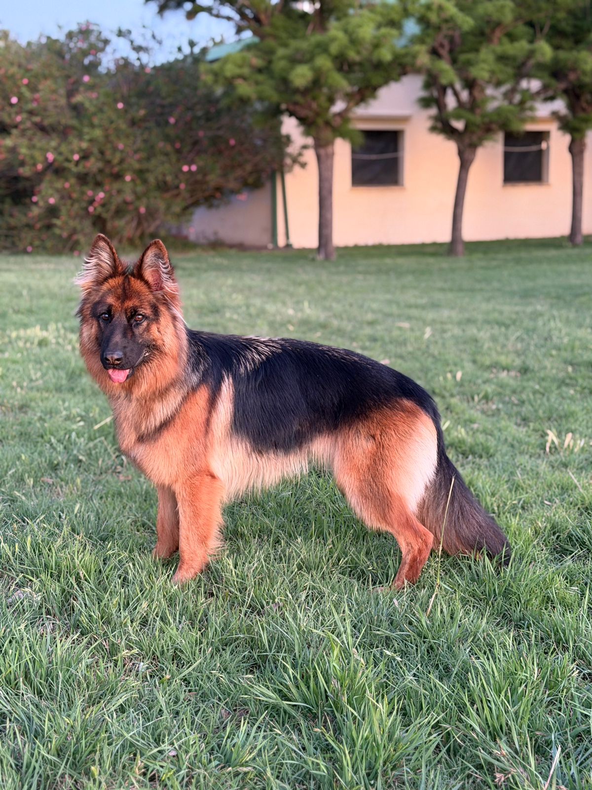 Baño Completo Tamaño Grande