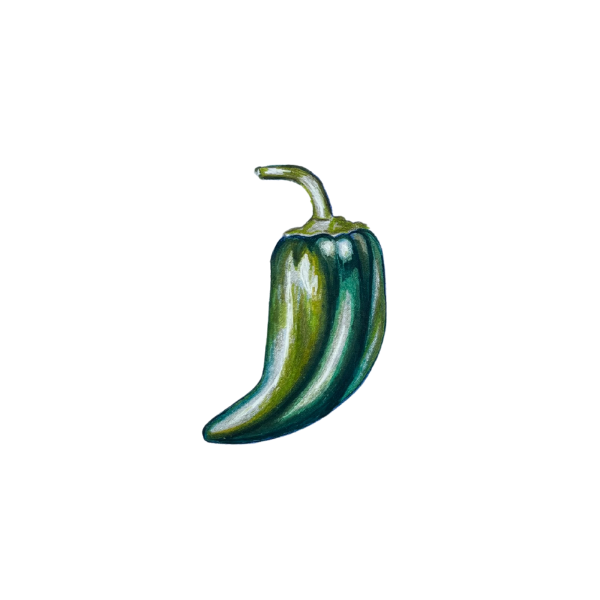 Green Pepper