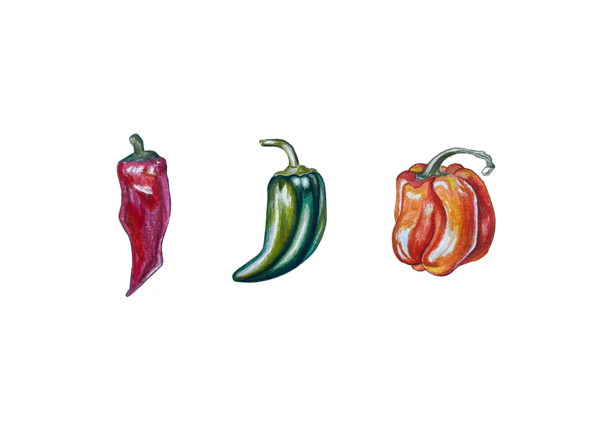 Three Peppers