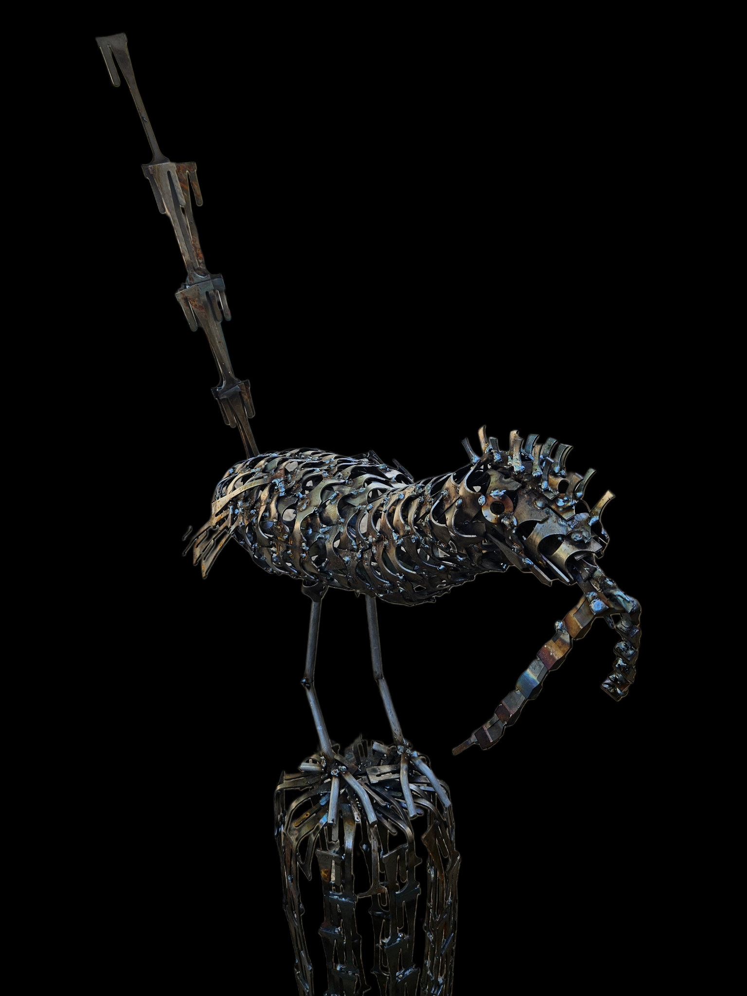 Roadrunner on Cactus 