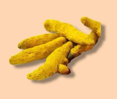 CURCUMA RAIZ DISECADA