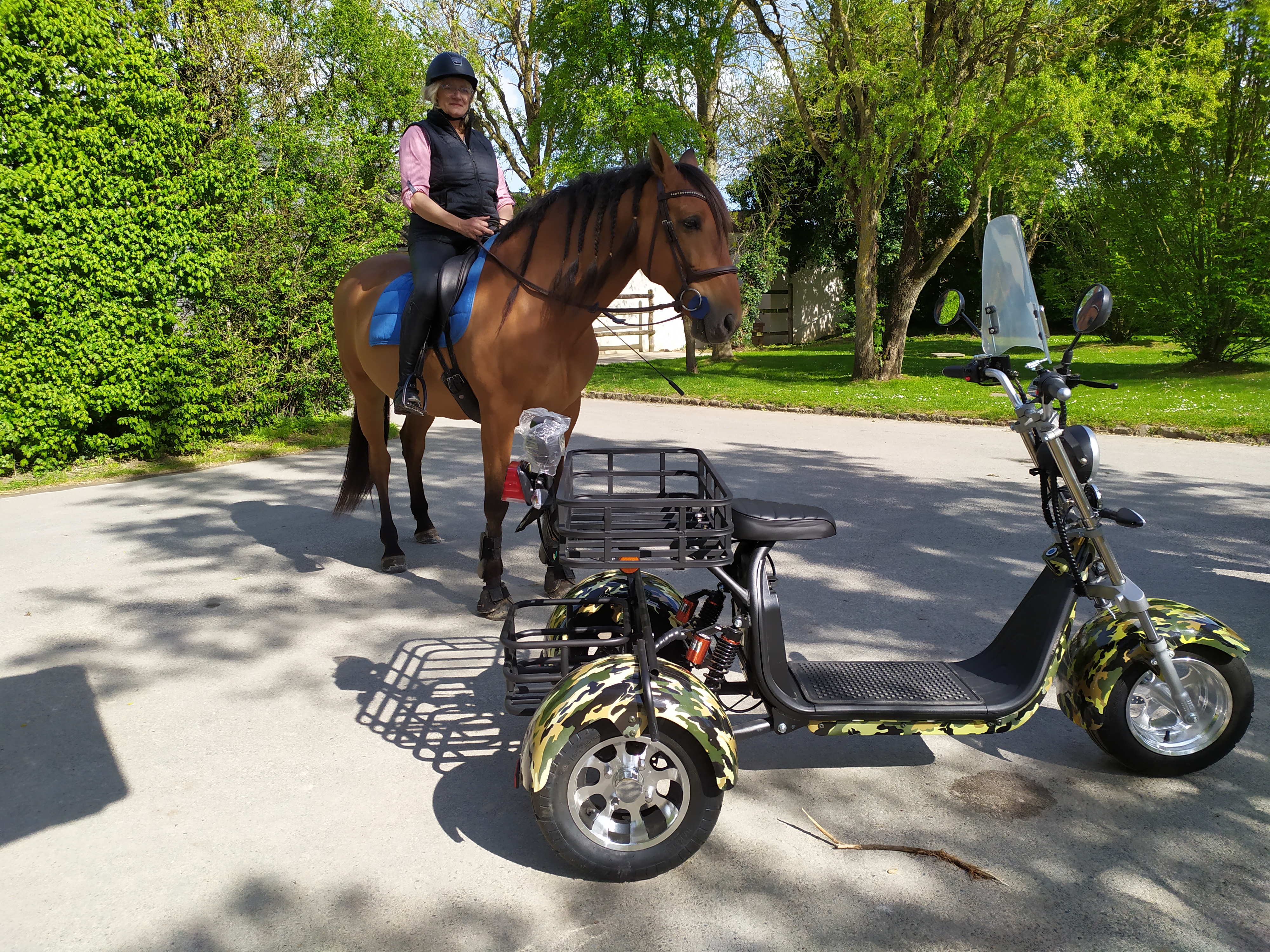 ÉQUITATION