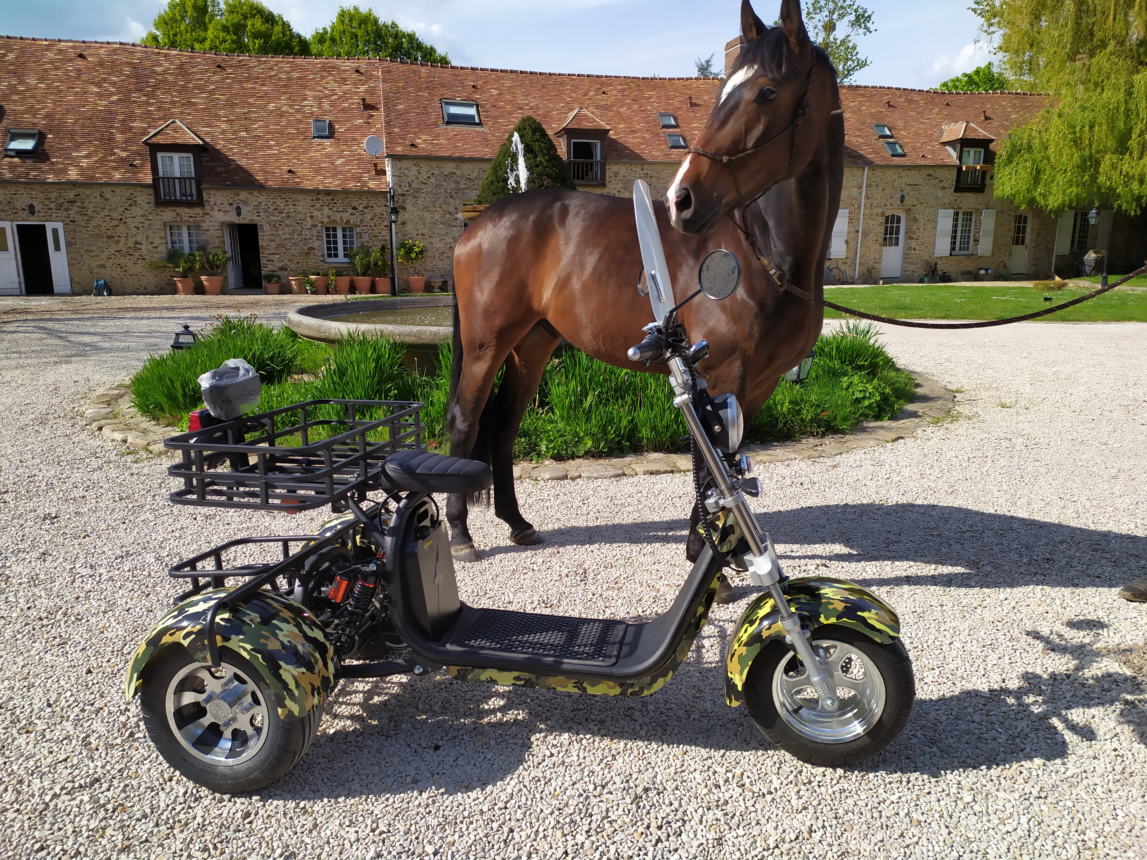 ÉQUITATION