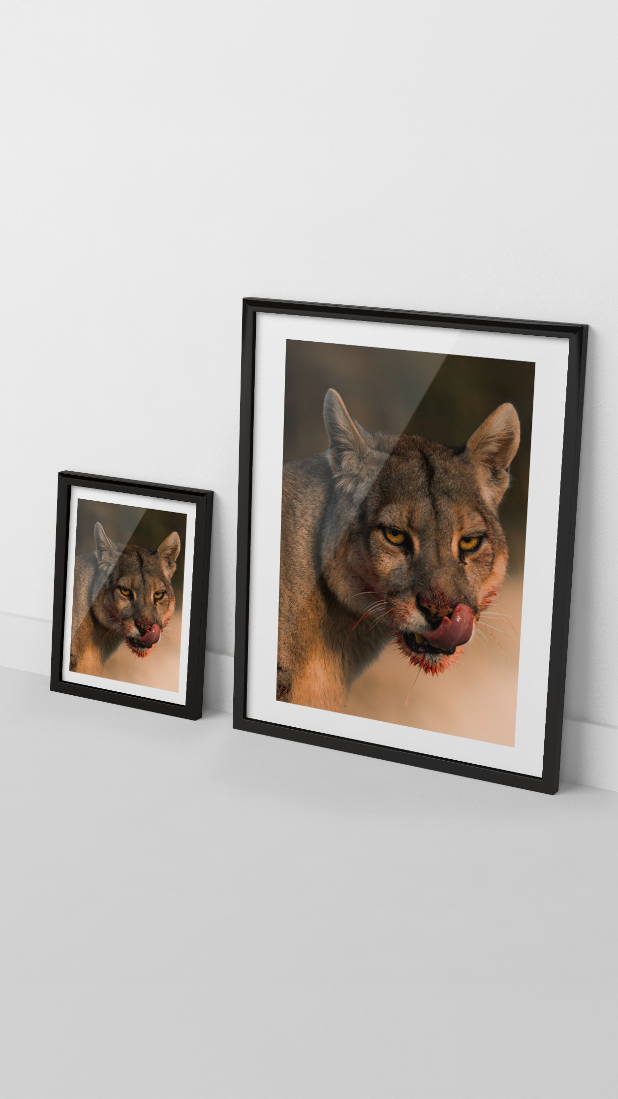 Cuadro Puma Rupestre