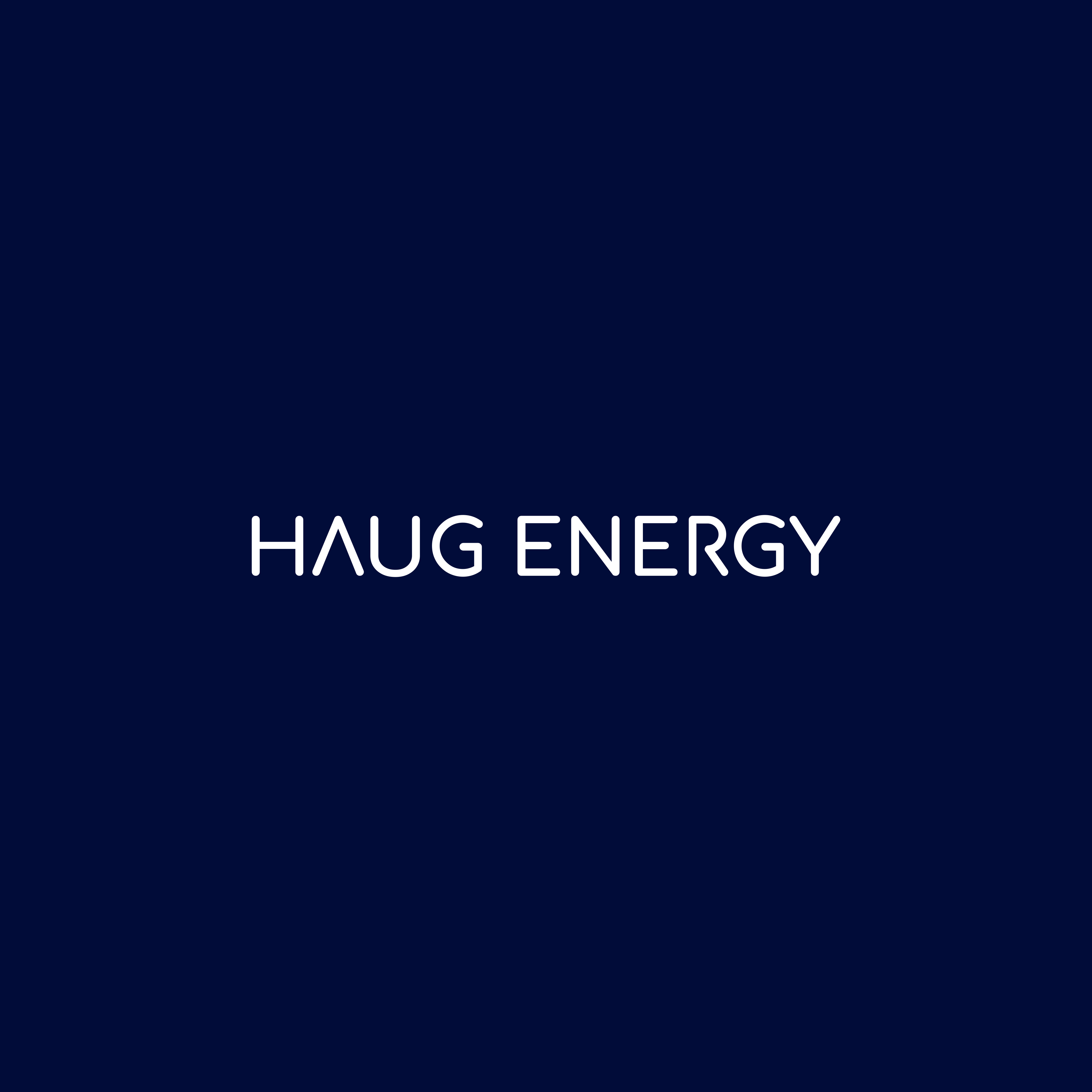 2-tägiger Intensivkurs direkt bei Ihnen im Unternehmen: Elektromobilität, Ladeinfrastruktur, Stromabrechnung, THG & Förderung