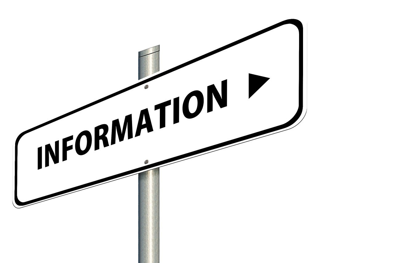 Консультация 60 минут. Тема: Подтверждение профессии психолога в Германии.