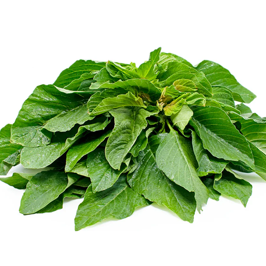 Fresh Amaranth Leaves