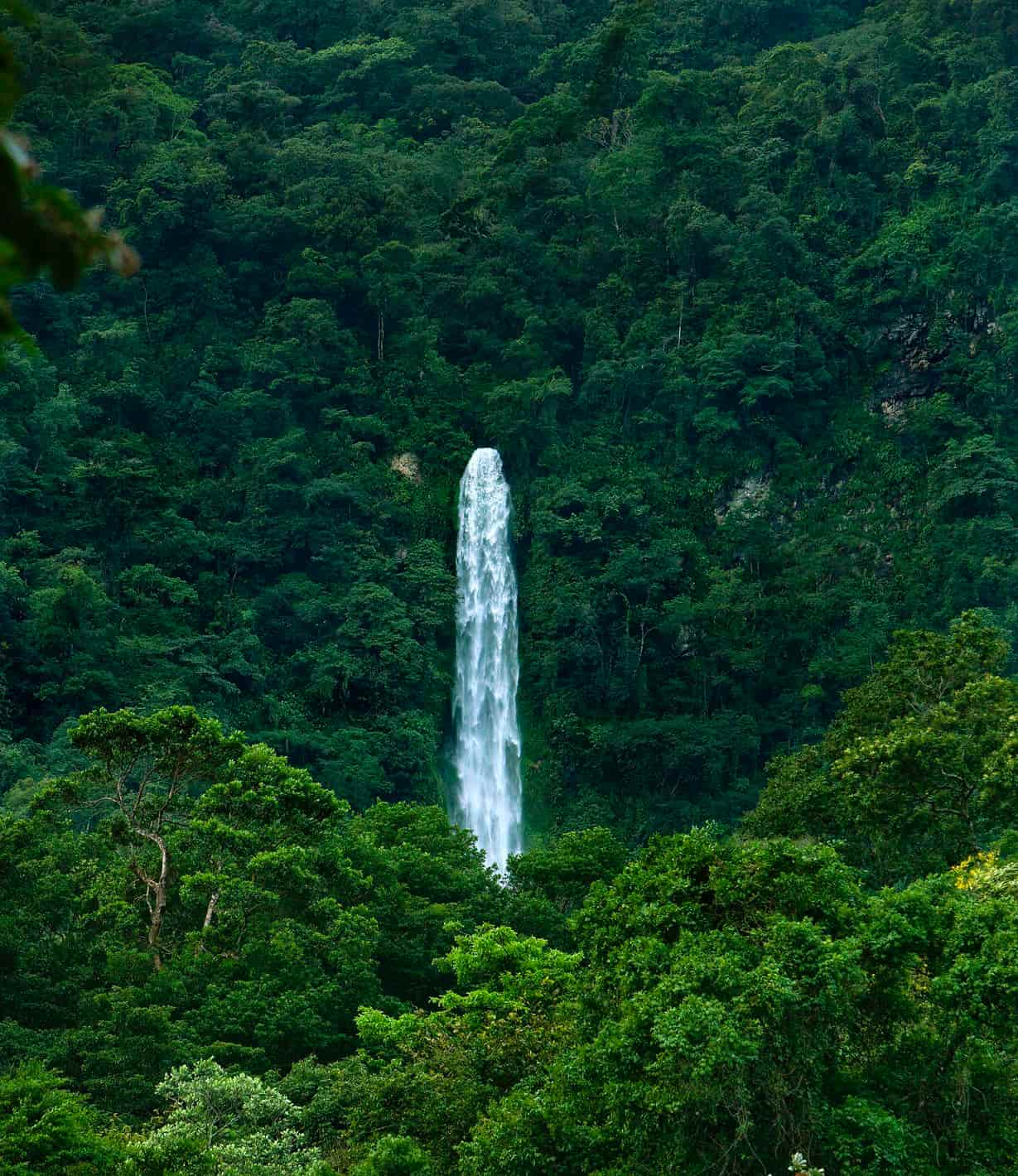 Rafting en Rio Cangrejal - La Ceiba y Paseo al Parque Nacional Pico Bonito