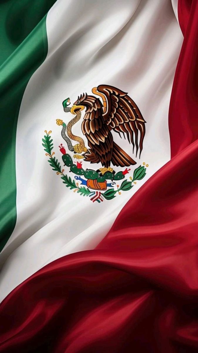 Asesoría en visado electrónico