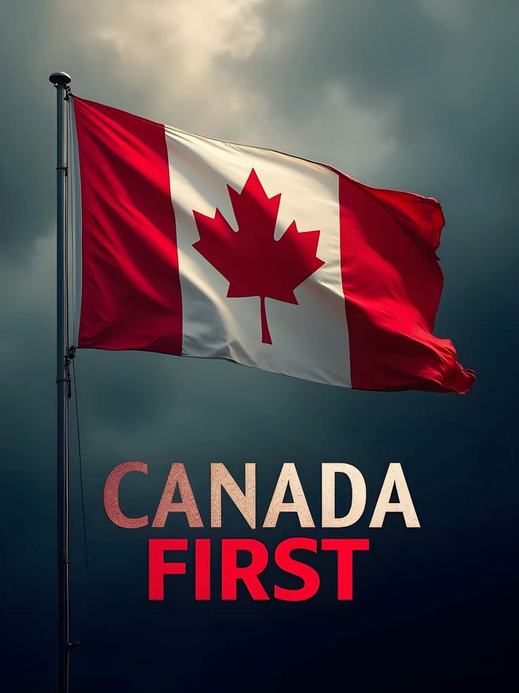 Asesoría en visado electrónico