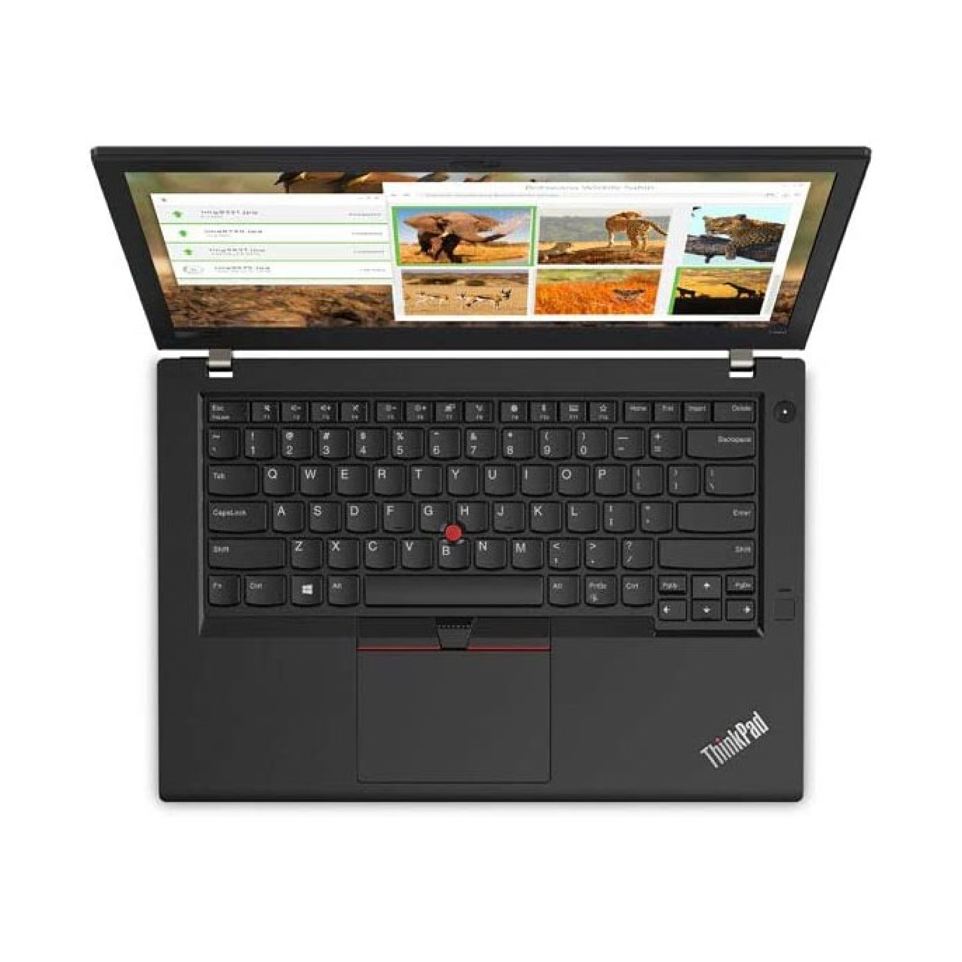Lenovo thinkpad T14 i5 14 Pouce 11th generation 8 GB RAM 256 SSD