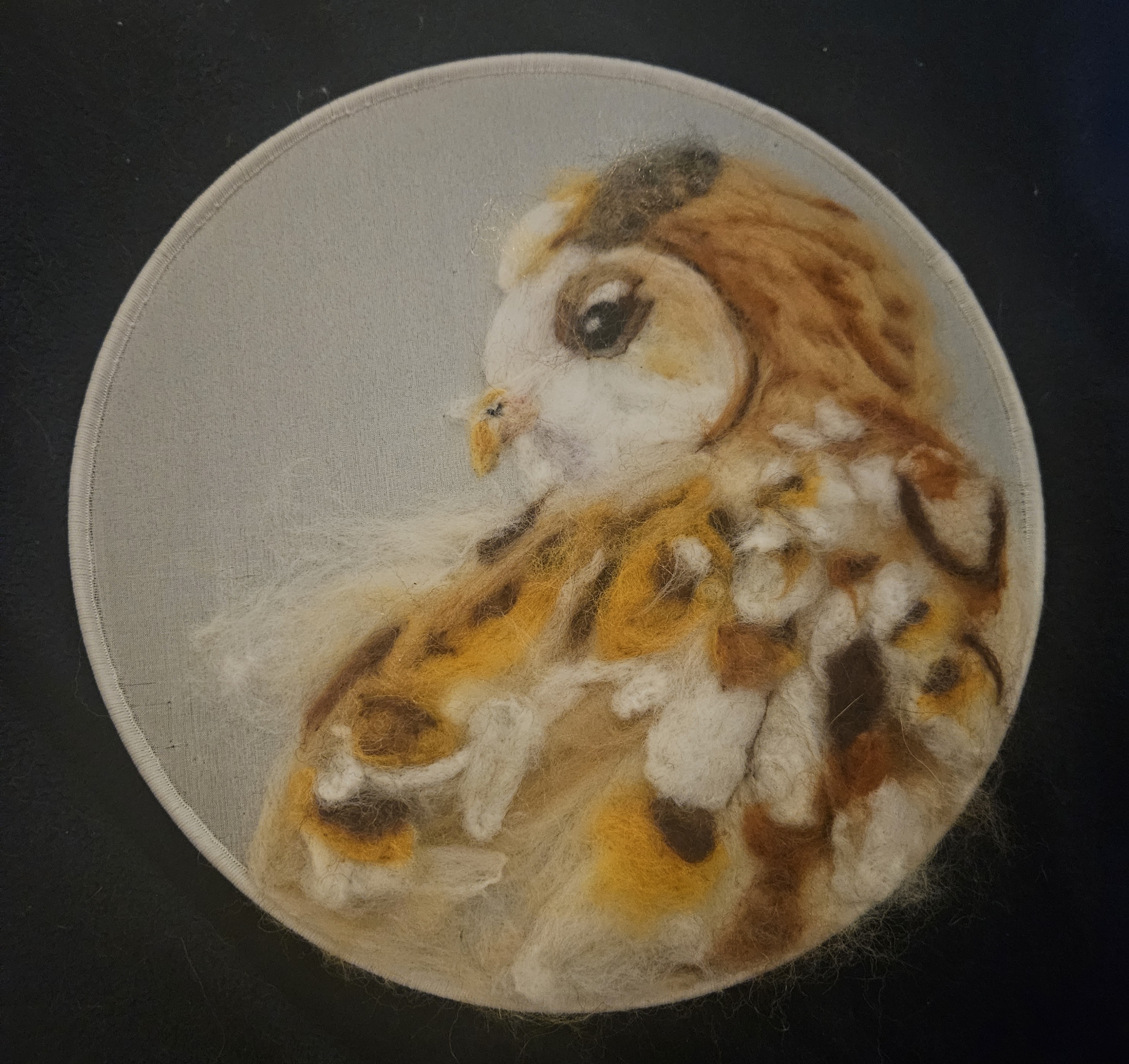 Barn Owl on Silk Hoop