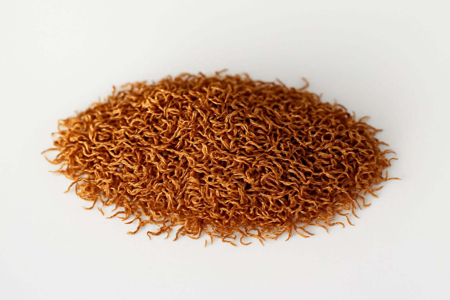 🍃 500 Graines de Manuka Blanc Authentique (Leptospermum scoparium) – Plantez, Protégez les Abeilles et Gagnez ! 🌿