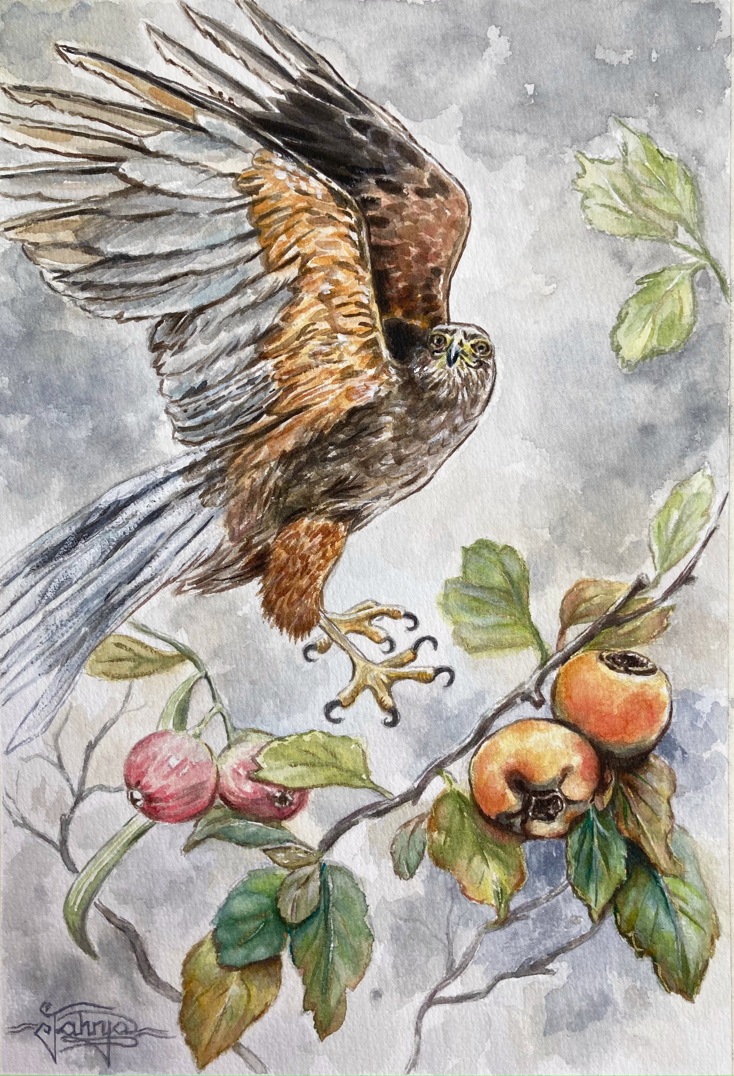 Watercolour Painting on Paper of Hawk in an Orchid